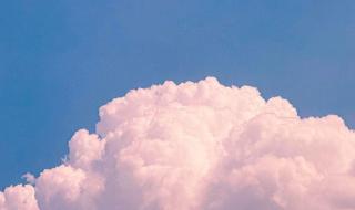 点滴归公指什么生肖 点滴归公指什么生肖